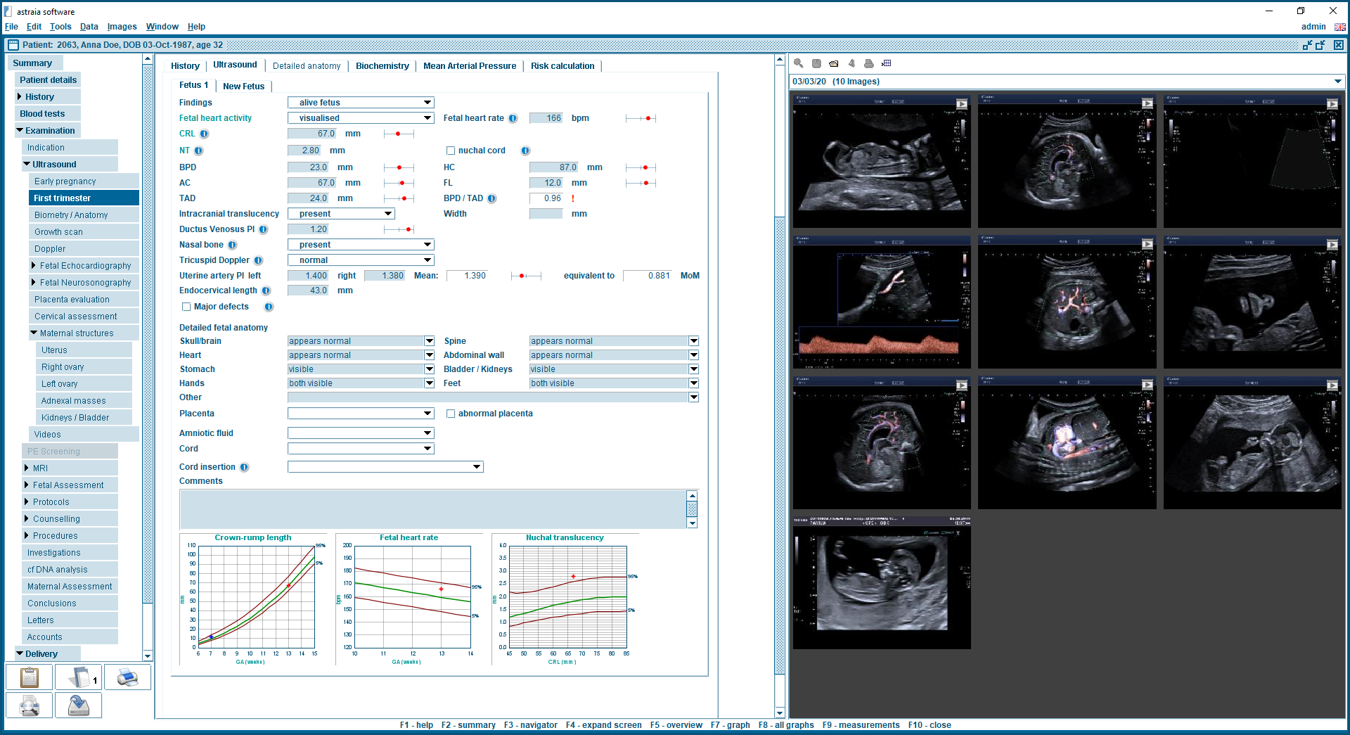 Obstetrics 1